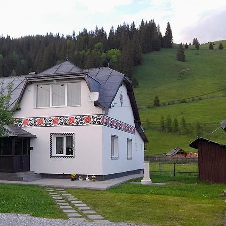 Casa Dumitru Si Elena Ciocanesti Bucovina ภายนอก รูปภาพ
