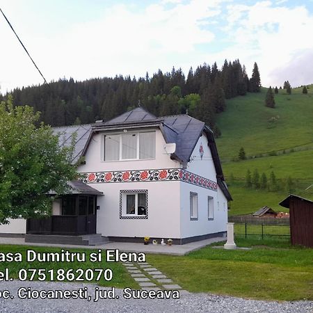 Casa Dumitru Si Elena Ciocanesti Bucovina ห้อง รูปภาพ