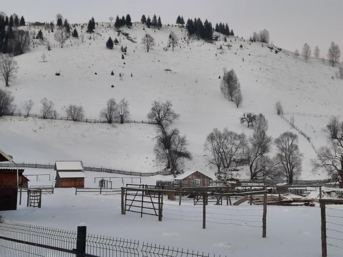 Casa Dumitru Si Elena Ciocanesti Bucovina ภายนอก รูปภาพ