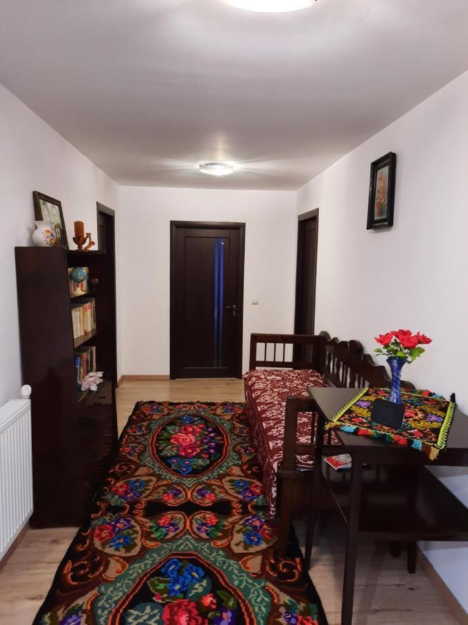 Casa Dumitru Si Elena Ciocanesti Bucovina ภายนอก รูปภาพ