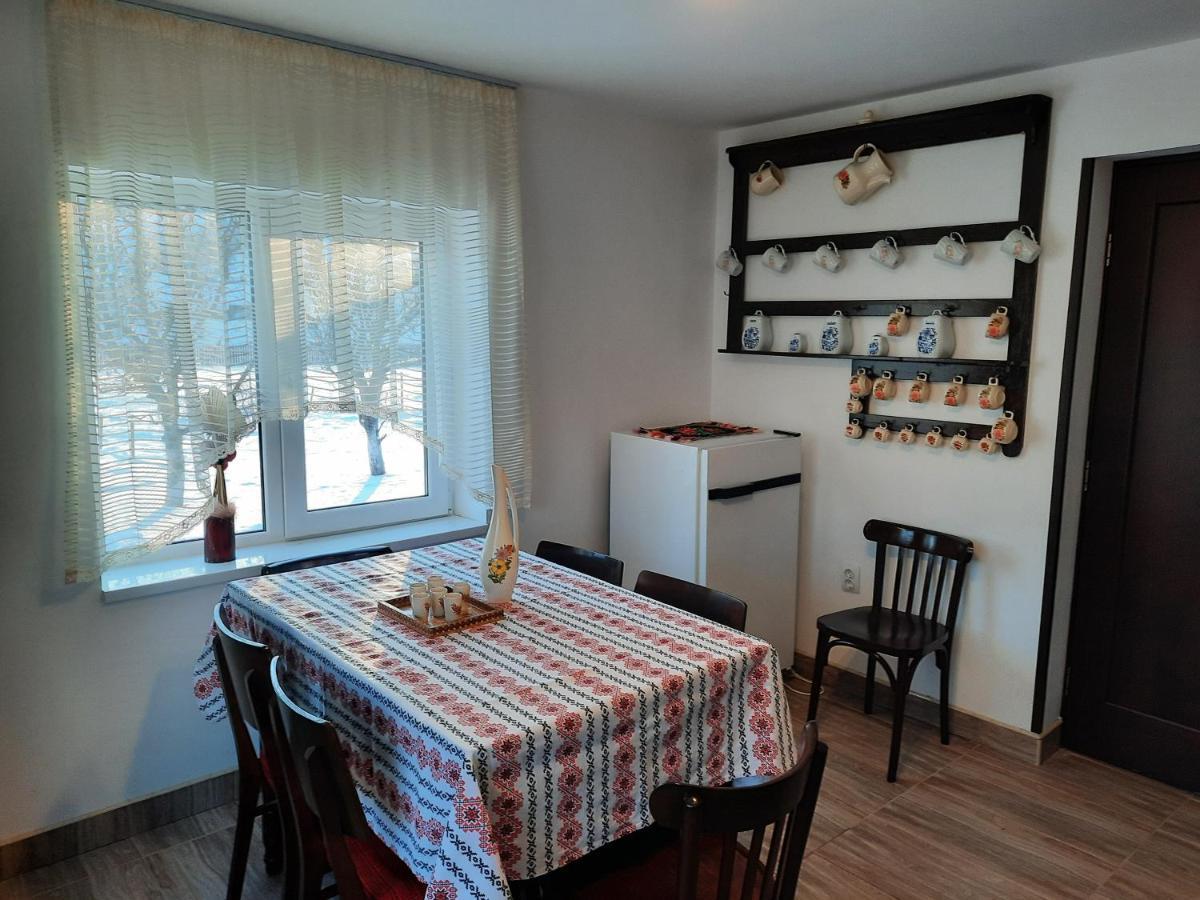 Casa Dumitru Si Elena Ciocanesti Bucovina ภายนอก รูปภาพ