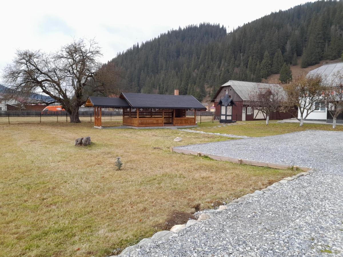 Casa Dumitru Si Elena Ciocanesti Bucovina ภายนอก รูปภาพ