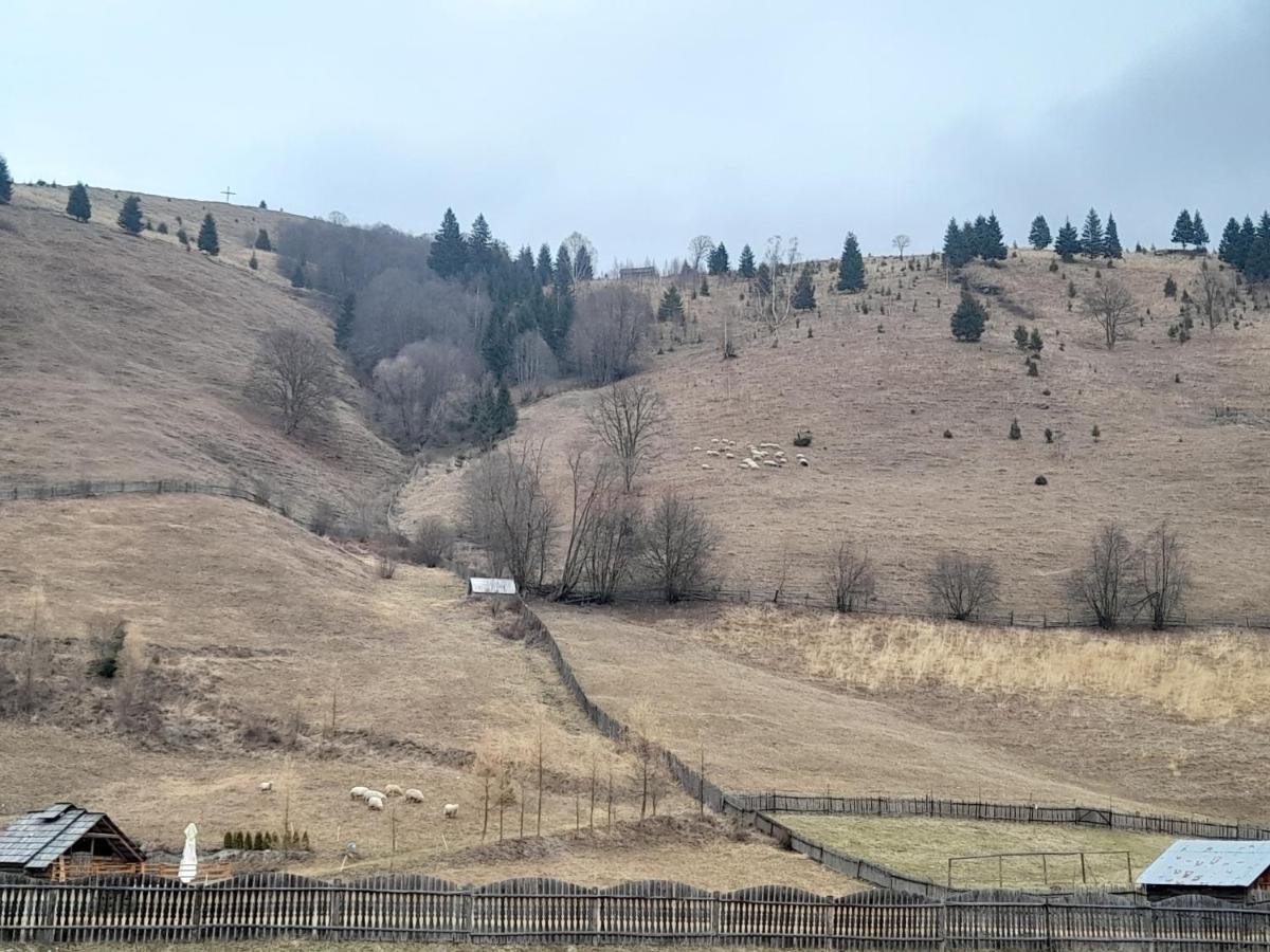 Casa Dumitru Si Elena Ciocanesti Bucovina ภายนอก รูปภาพ