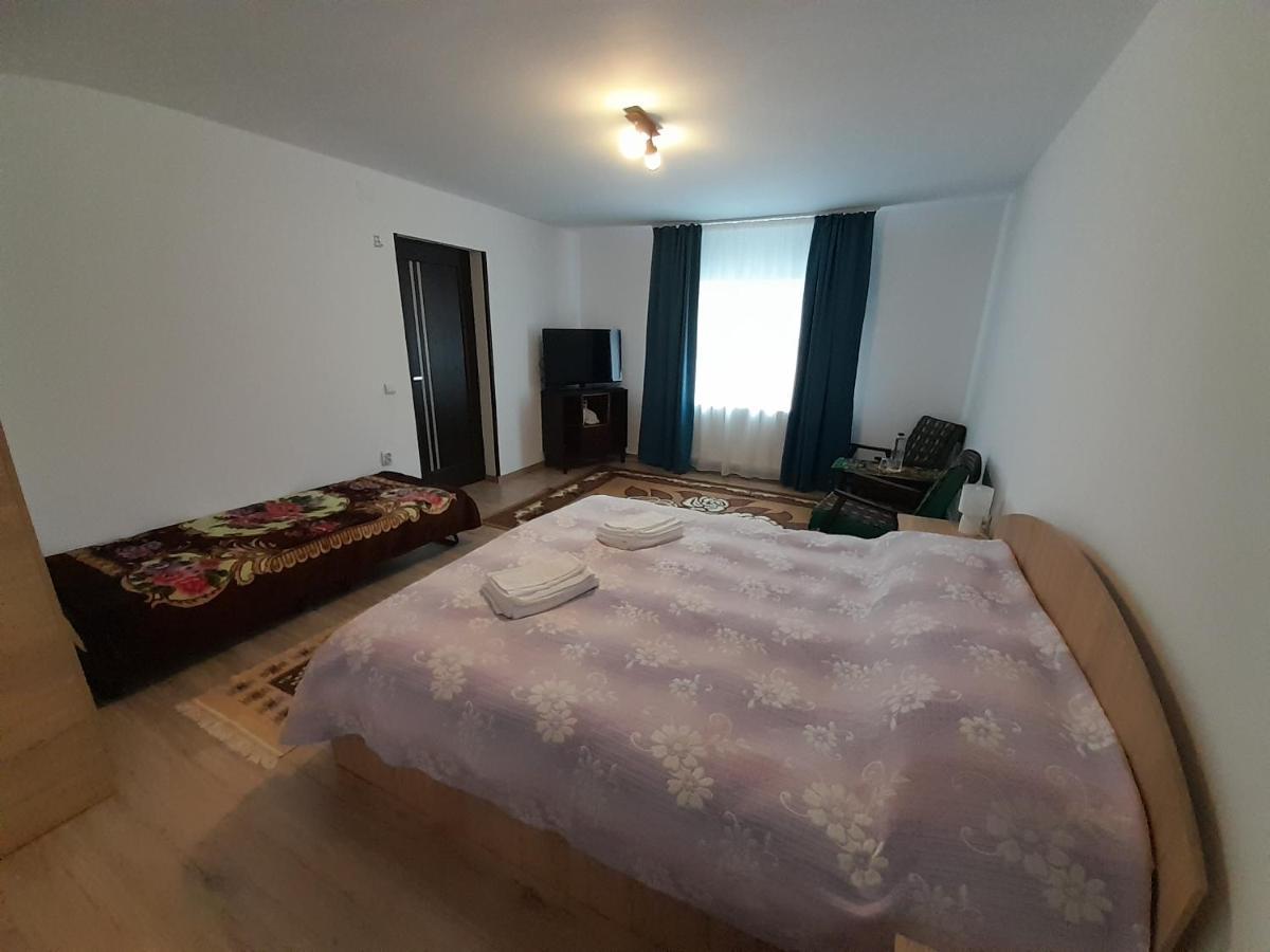 Casa Dumitru Si Elena Ciocanesti Bucovina ภายนอก รูปภาพ
