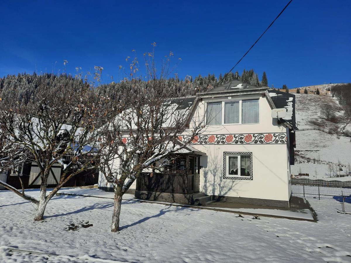 Casa Dumitru Si Elena Ciocanesti Bucovina ภายนอก รูปภาพ