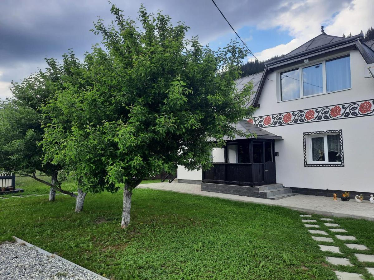 Casa Dumitru Si Elena Ciocanesti Bucovina ภายนอก รูปภาพ