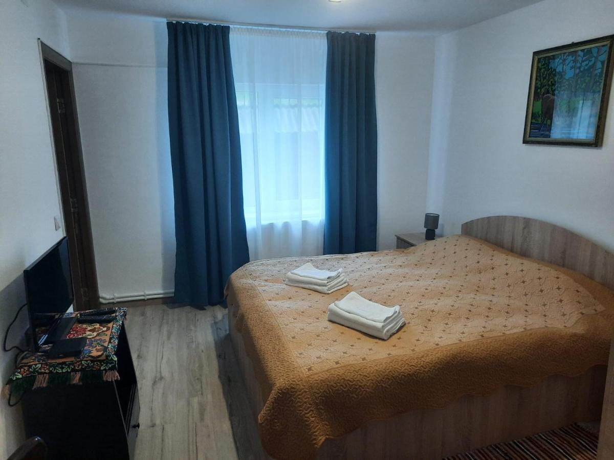 Casa Dumitru Si Elena Ciocanesti Bucovina ภายนอก รูปภาพ
