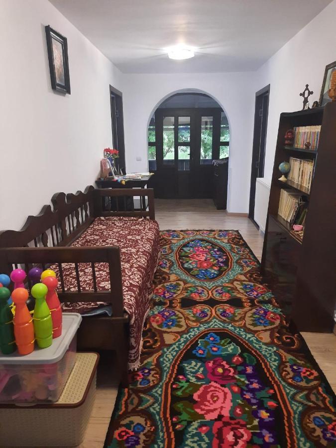 Casa Dumitru Si Elena Ciocanesti Bucovina ภายนอก รูปภาพ