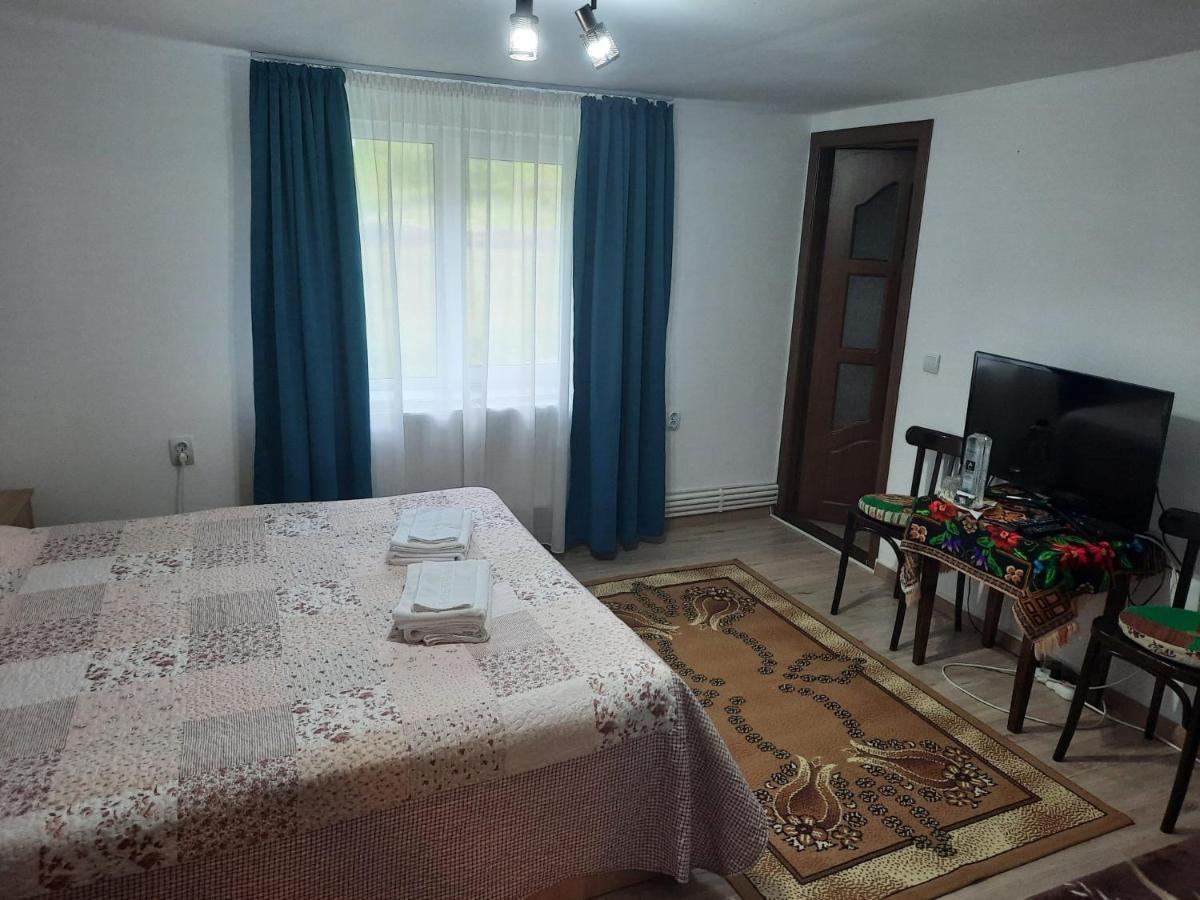 Casa Dumitru Si Elena Ciocanesti Bucovina ภายนอก รูปภาพ