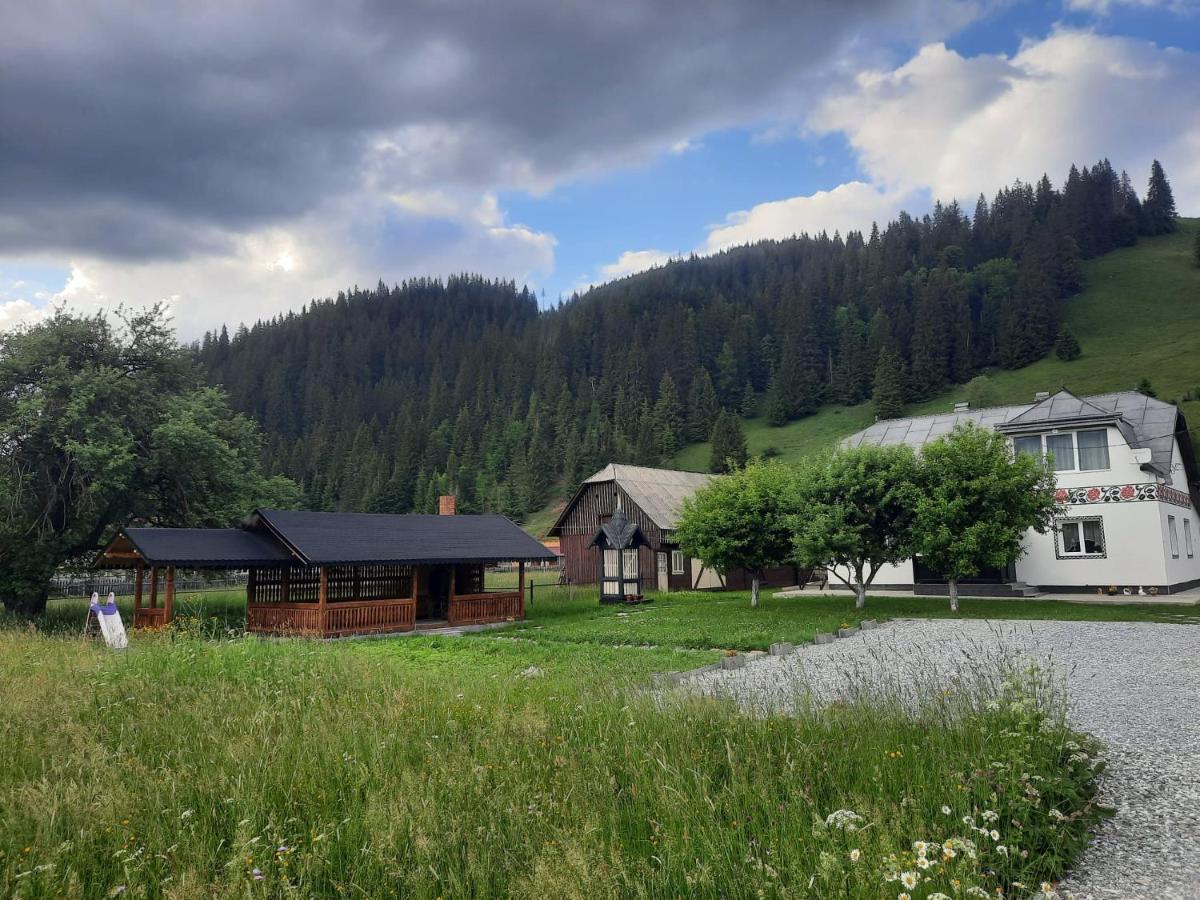 Casa Dumitru Si Elena Ciocanesti Bucovina ภายนอก รูปภาพ