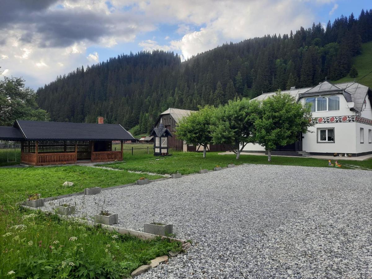 Casa Dumitru Si Elena Ciocanesti Bucovina ภายนอก รูปภาพ